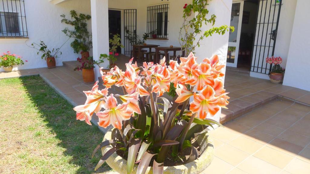 Hotel Casa Fina - Adults Recommended โกนิล เด ลาฟรอนเตรา ภายนอก รูปภาพ